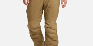 Olive Coyote