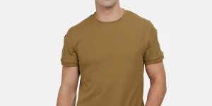 Coyote