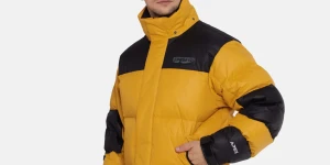 Yellow/Black