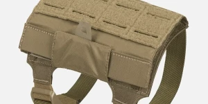 Coyote Brown