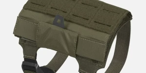 Ranger Green