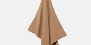 Coyote