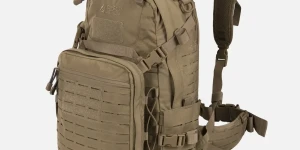 Coyote Brown