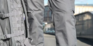 Wolf Grey