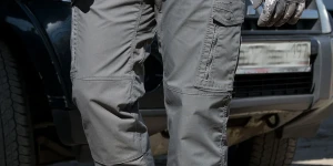 Wolf Grey