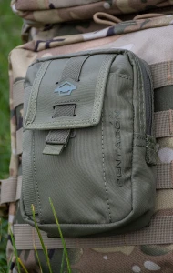 Подсумок Pentagon AXON UTILITY