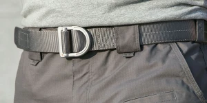 Wolf Grey